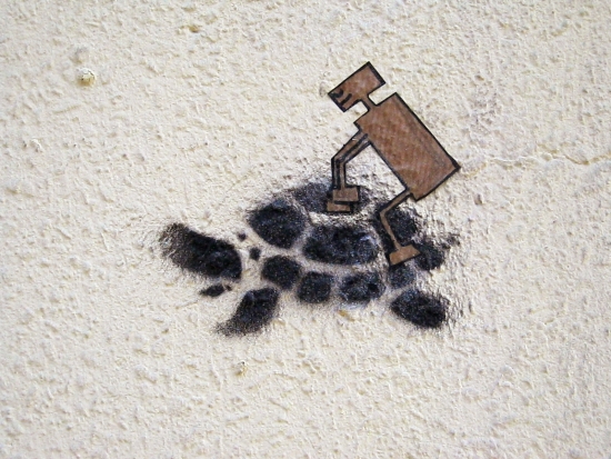 Schildkrötenritt1_klein